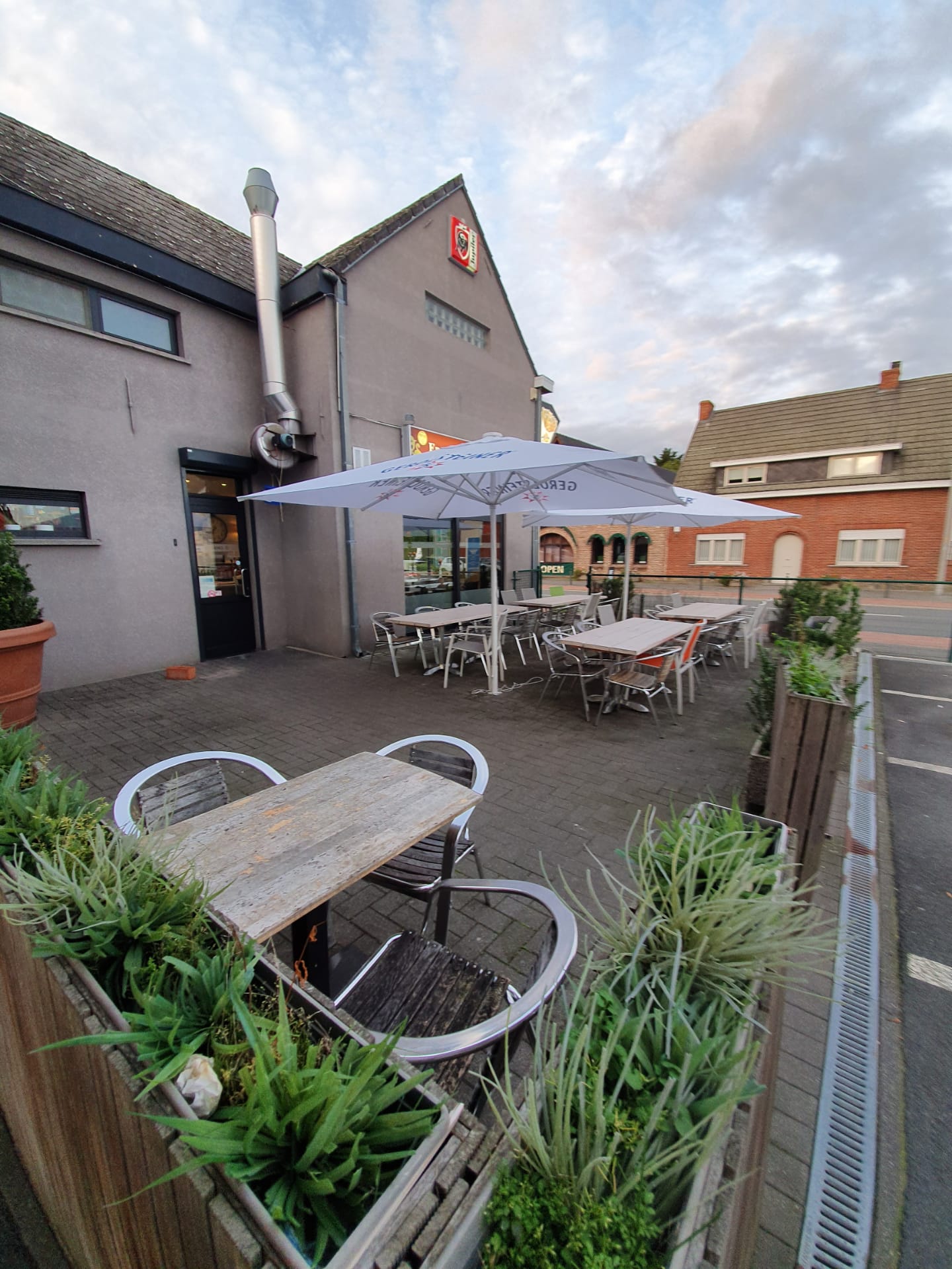 Terras groot